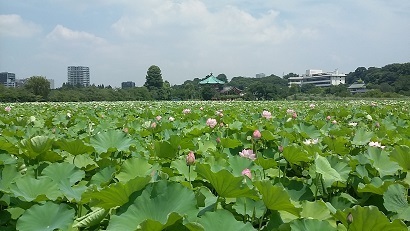 20180719_103419.jpg